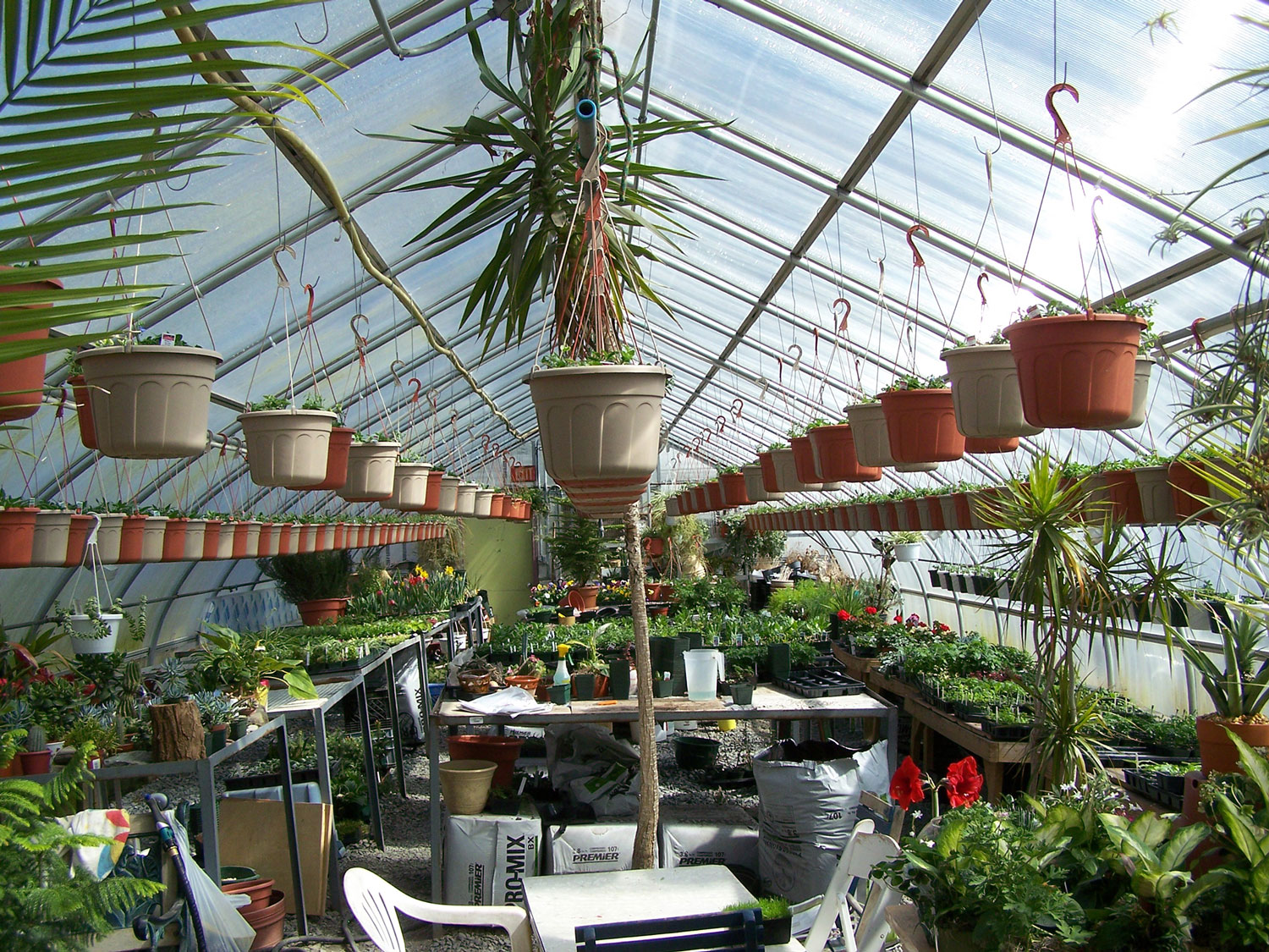 20090325 Bella Greenhouse 2web